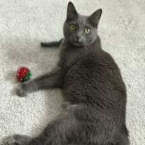 Thumbnail photo of Esther #2