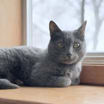 Thumbnail photo of Esther #3