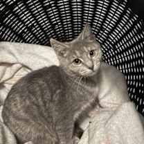 Thumbnail photo of Sarah Sanderson #1