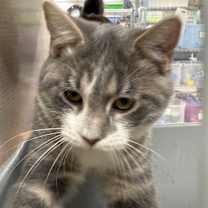 Thumbnail photo of Hubert #2