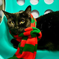 Thumbnail photo of Jamie #1