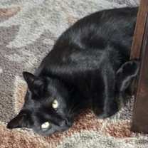 Thumbnail photo of Barry #4