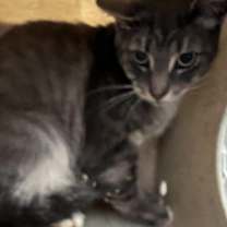 Thumbnail photo of Orwin 47 #3