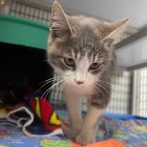 Thumbnail photo of Giveon #3