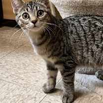 Thumbnail photo of Maxine #1