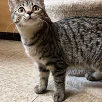 Thumbnail photo of Maxine #2