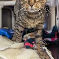 Thumbnail photo of Jerry #1