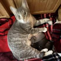 Thumbnail photo of No name #1