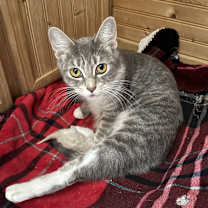 Thumbnail photo of No name #3