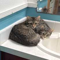 Thumbnail photo of No name #2