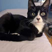 Thumbnail photo of Archie #1