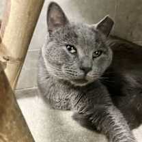 Thumbnail photo of J.R. #1