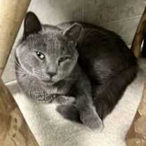 Thumbnail photo of J.R. #2