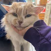 Thumbnail photo of Benson #1