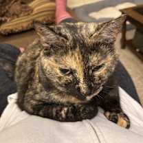 Thumbnail photo of Junie #1