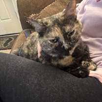 Thumbnail photo of Junie #2