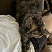 Thumbnail photo of Junie #4