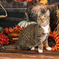 Thumbnail photo of Sasha #4