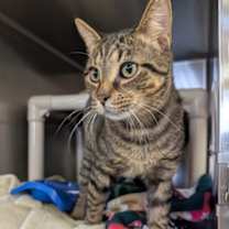 Thumbnail photo of Jerry #3