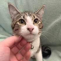 Thumbnail photo of Moony #1