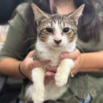 Thumbnail photo of Moony #3