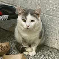 Thumbnail photo of Tuna #2