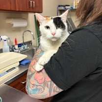 Thumbnail photo of Marvel #2