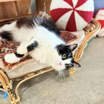 Thumbnail photo of Miss Bianca #3