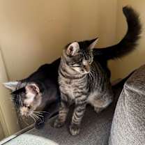 Thumbnail photo of Baby #2