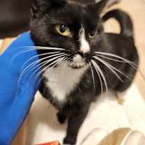 Thumbnail photo of Dolores #2