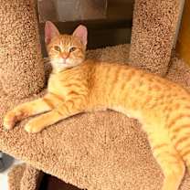 Thumbnail photo of Parker #2