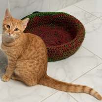 Thumbnail photo of Parker #3