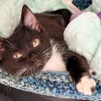 Thumbnail photo of Harmony #2