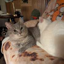 Thumbnail photo of Dale #1