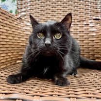 Thumbnail photo of Buddy #3