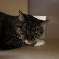 Thumbnail photo of Mila #1