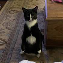 Thumbnail photo of Malin #1