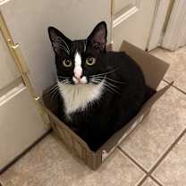 Thumbnail photo of Malin #3