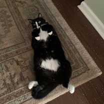 Thumbnail photo of Malin #4