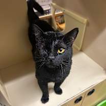 Thumbnail photo of Senor #3