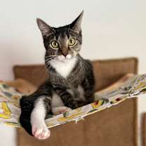 Thumbnail photo of Everly #1