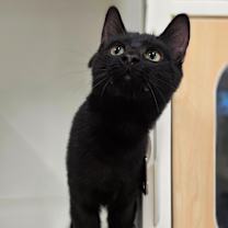 Thumbnail photo of Tinky-Winky #2