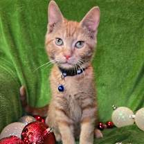 Thumbnail photo of Garffiljorg #1