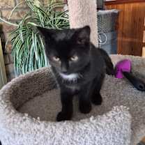 Thumbnail photo of Mystery #3