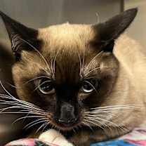 Thumbnail photo of Mr. Wonder #2