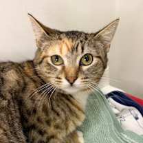 Thumbnail photo of Talia #1