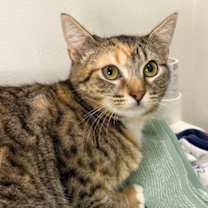 Thumbnail photo of Talia #3