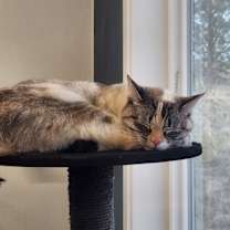 Thumbnail photo of Rowan #2