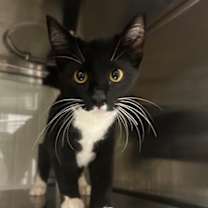 Thumbnail photo of Lagoon #2