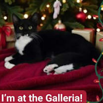 Thumbnail photo of Lagoon #3